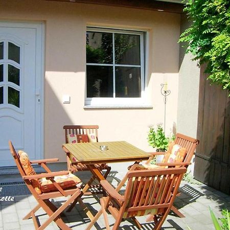 Ferienwohnungen _ Haus Lisa_ Senftenberg Esterno foto