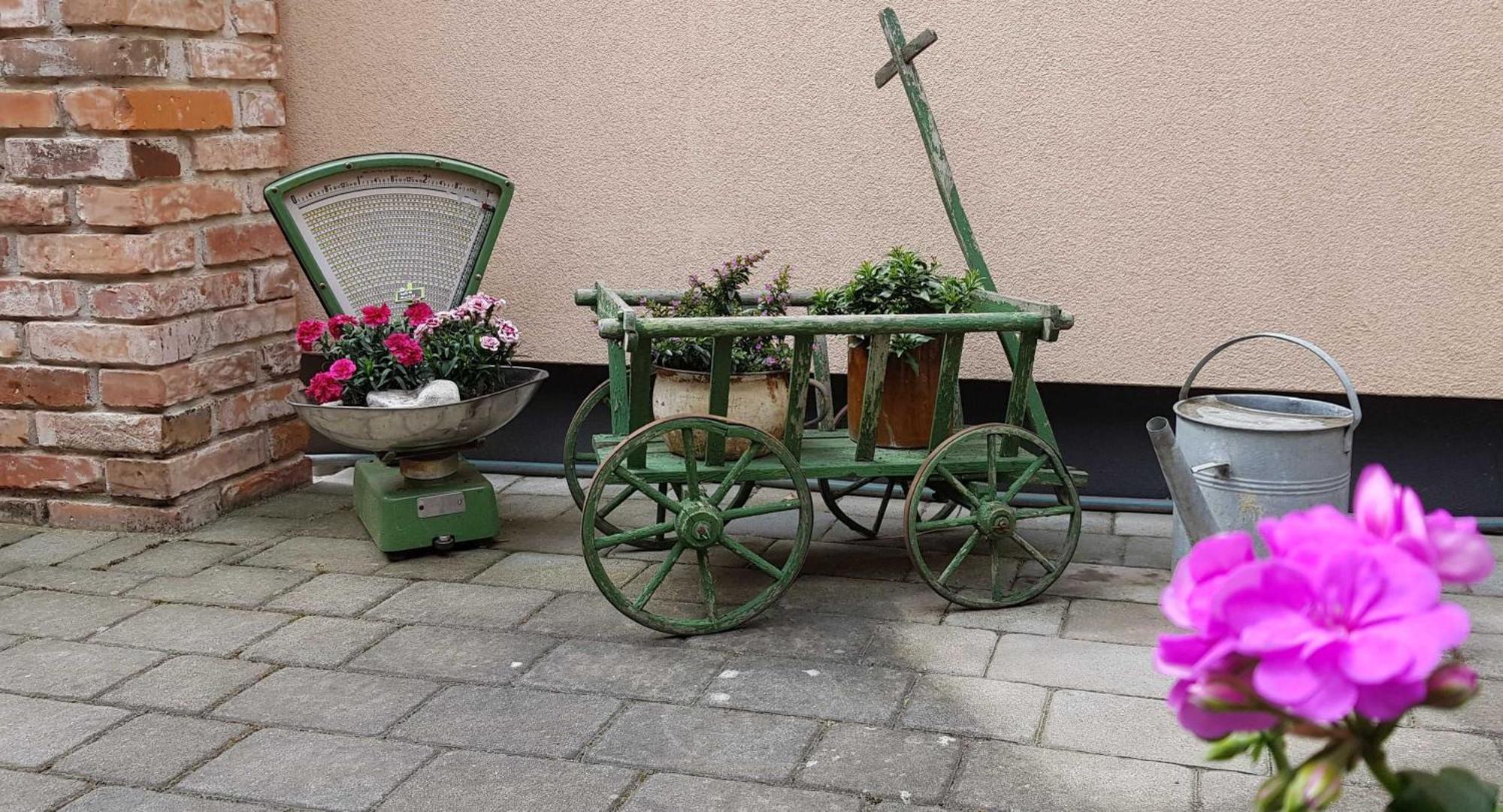 Ferienwohnungen _ Haus Lisa_ Senftenberg Esterno foto
