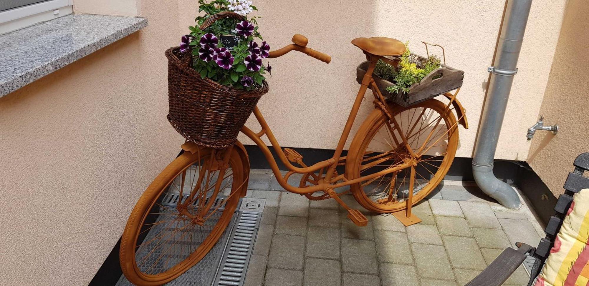Ferienwohnungen _ Haus Lisa_ Senftenberg Esterno foto